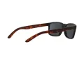 Arnette Slickster AN 4185 227381 59 Occhiali da Sole