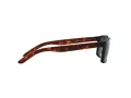 Arnette Slickster AN 4185 227381 59 Occhiali da Sole
