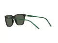 Arnette Cortex AN 4291 27539A 57 Occhiali da Sole