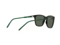 Arnette Cortex AN 4291 27539A 57 Occhiali da Sole