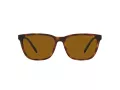 Arnette Cortex AN 4291 277083 57 Occhiali da Sole