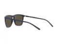 Arnette Fry AN 4301 275922 55 Occhiali da Sole