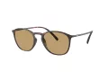 Giorgio Armani AR 8186U 508973 52 Occhiali da Sole