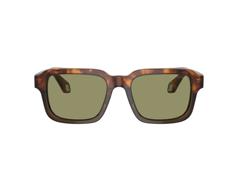 Giorgio Armani AR 8194U 598814 53 Occhiali da Sole