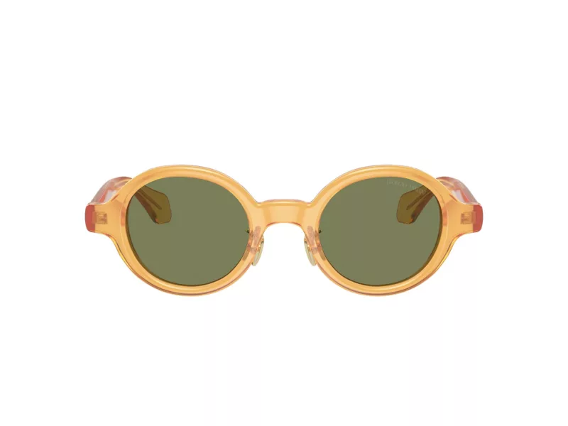 Giorgio Armani AR 8205 60632A 46 Occhiali da Sole