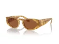 Giorgio Armani AR 8216 597973 51 Occhiali da Sole