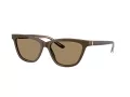 Giorgio Armani AR 8221 595753 55 Occhiali da Sole
