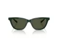 Giorgio Armani AR 8221 617331 55 Occhiali da Sole