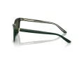 Giorgio Armani AR 8221 617331 55 Occhiali da Sole