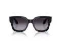 Giorgio Armani AR 8223 61608G 51 Occhiali da Sole