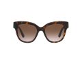 Dolce & Gabbana DG 4407 502/13 53 Occhiali da Sole