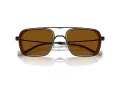 Emporio Armani EA 2162 300163 54 Occhiali da Sole