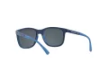 Emporio Armani EA 4184 508855 49 Occhiali da Sole