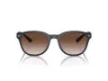 Emporio Armani EA 4225U 508813 53 Occhiali da Sole
