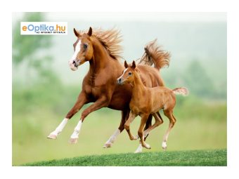 Panno per pulizia occhiali