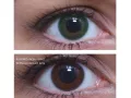 ColourVUE Verde Monostrato (2 pz)