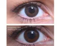 ColourVUE Monostrato Grigia (2 pz)