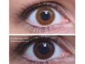 ColourVUE Monostrato Miele (2 pz)