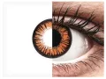 ColourVUE Crazy One-Day Twilight (2 pz)