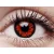ColourVUE Crazy One-Day Volturi (2 pz)