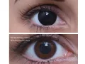 ColourVUE Crazy Blackout (2 pz)