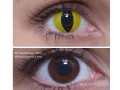 ColourVUE Crazy Occhio di Gatto (2 pz)
