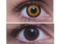 ColourVUE Crazy Occhio di Licantropo Arancio (2 pz) - senza diottrico
