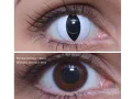 ColourVUE Crazy Vipera (2 pz) - senza diottrico
