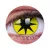 ColourVUE Crazy Stella Gialla (2 pz) - senza diottrico