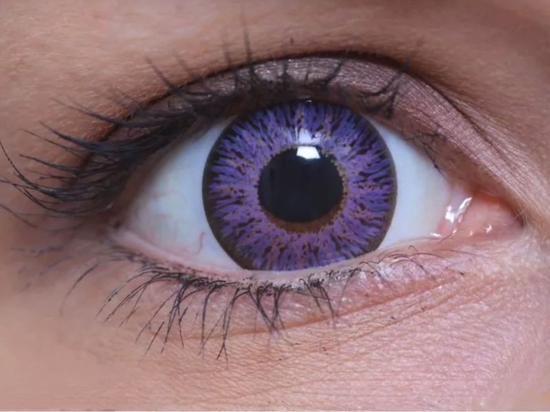 ColourVUE Glamour Viola (2 pz)