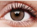 ColourVUE Lumina Shinning Brown (2 pz)