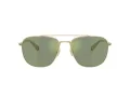 Coach Cw404 HC 7172 90056R 59 Occhiali da Sole