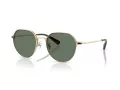 Coach Cae81 HC 7179 90053H 52 Occhiali da Sole