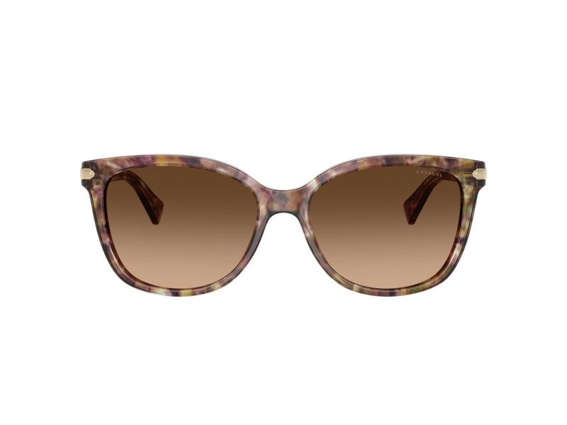 Coach L109 HC 8132 528713 57 Occhiali da Sole