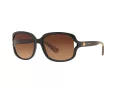 Coach L149 HC 8169 535313 57 Occhiali da Sole