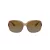 Coach L149 HC 8169 5561T5 57 Occhiali da Sole