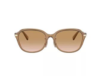 Coach C6199 HC 8332D 565413 56 Occhiali da Sole