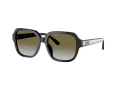 Coach C7989 HC 8335U 50027Z 53 Occhiali da Sole