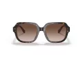 Coach C7989 HC 8335U 512013 53 Occhiali da Sole