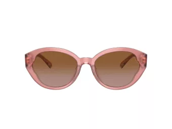 Coach Ch569 HC 8364U 574313 55 Occhiali da Sole