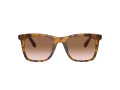 Coach Ch561 HC 8374U 512013 51 Occhiali da Sole