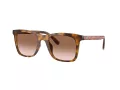 Coach Ch561 HC 8374U 512013 51 Occhiali da Sole