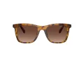 Coach Ch561 HC 8374U 5120T5 51 Occhiali da Sole