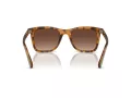 Coach Ch561 HC 8374U 5120T5 51 Occhiali da Sole
