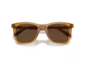 Coach Ch561 HC 8374U 57483G 51 Occhiali da Sole