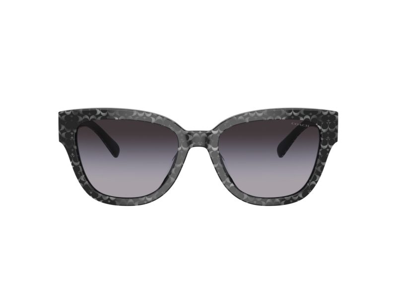 Coach Cl920 HC 8379U 55208G 54 Occhiali da Sole