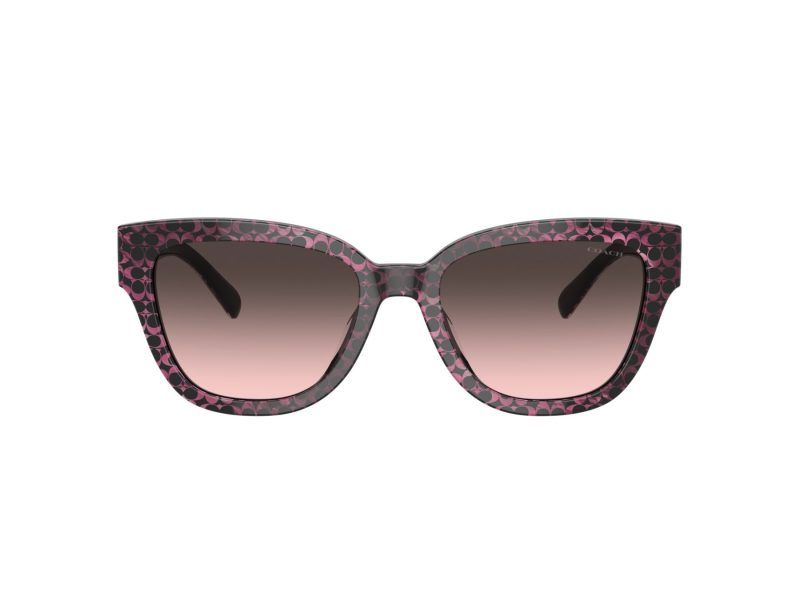 Coach Cl920 HC 8379U 578346 54 Occhiali da Sole