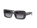 Coach Cl922 HC 8380U 55208G 54 Occhiali da Sole