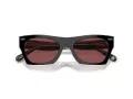 Coach Cl917 HC 8389U 572875 52 Occhiali da Sole