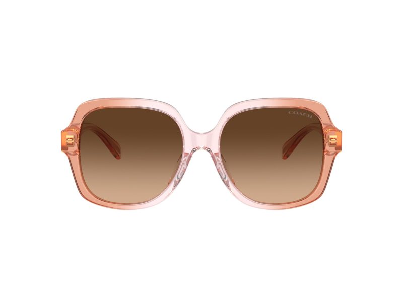 Coach Cr614 HC 8395U 581274 54 Occhiali da Sole